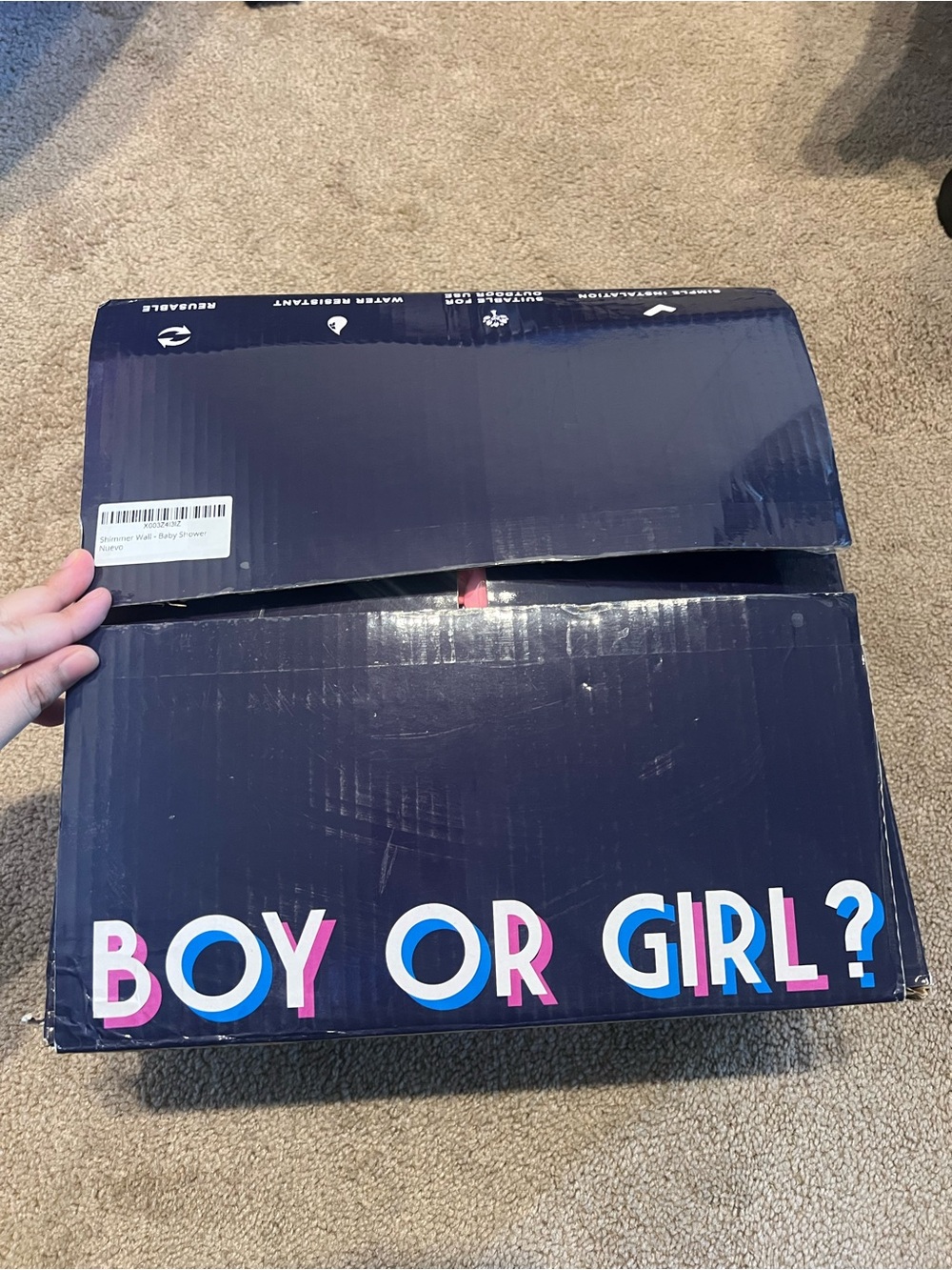 New Gender Reveal Surprise Box - Boy or Girl?